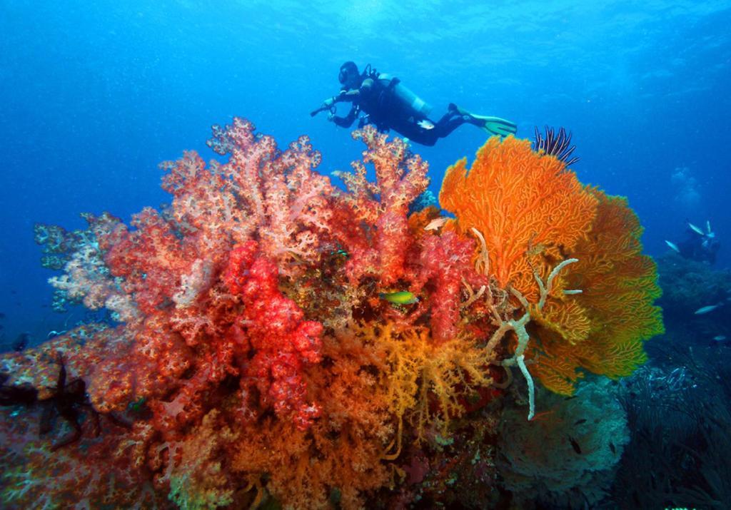 Bella Villa Coron Dış mekan fotoğraf